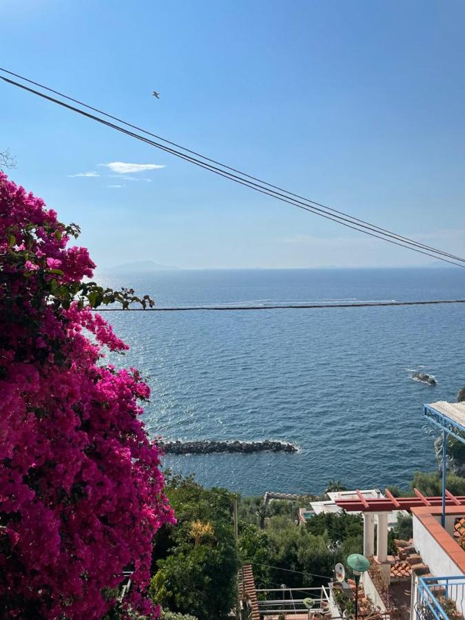 La Rosa Dei Venti Βίλα Massa Lubrense Εξωτερικό φωτογραφία